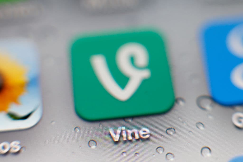 Elon Musk Working With Twitter Engineers To Bring Vine Back To Rival TikTok, Report Says