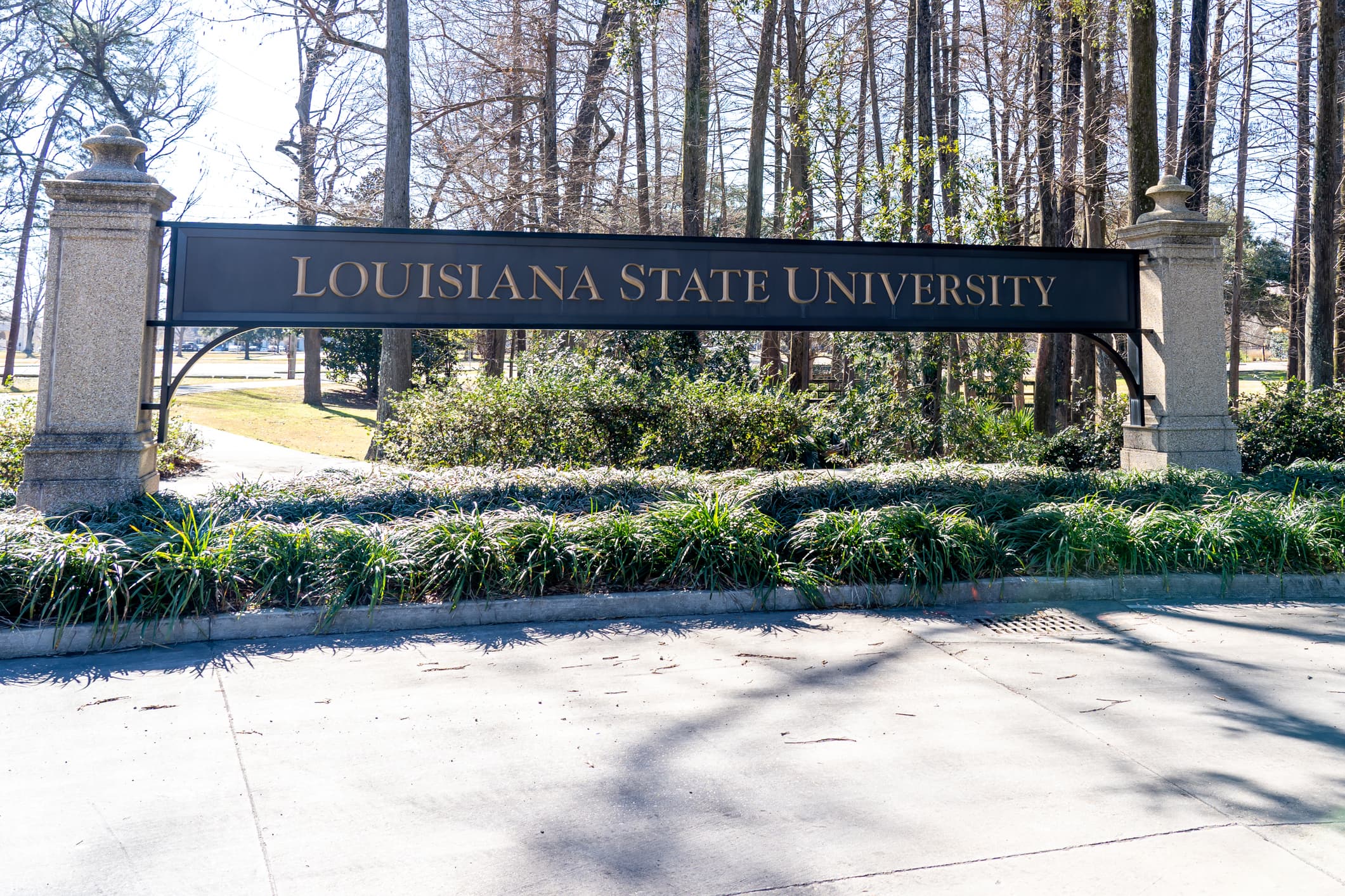 Louisiana State University Students Risk Losing Scholarships Over Alleged AI Use, Raising Concerns About Unclear Policies On The Technology