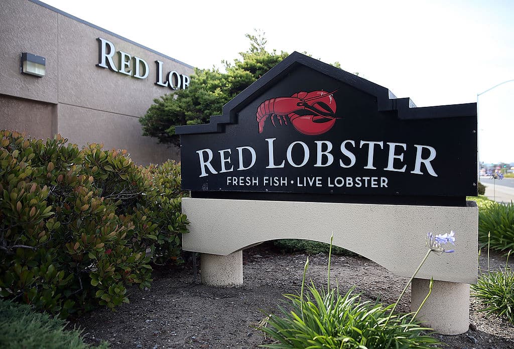 Who Is Damola Adamolekun? Meet The 35-Year-Old Who's Now CEO Of Red Lobster And Formerly Led P.F. Chang's Who Is Damola Adamolekun? Meet The 35-Year-Old Who's Now CEO Of Red Lobster And Formerly Led P.F. Chang's